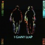 1 Giant Leap album 1 Giant Leap