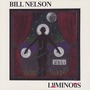 Bill Nelson album Luminous