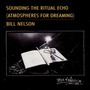 Bill Nelson album Sounding The Ritual Echo (Atmospheres For Dreaming)
