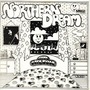 Bill Nelson album Northern Dream