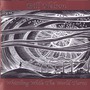 Bill Nelson album Whistling While The World Turns