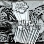 Blitzen Trapper album Field Rexx