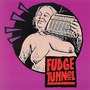 Fudge Tunnel album Fudgecake