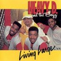 Heavy D. & The Boyz album Living Large