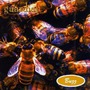 Guardian album Buzz