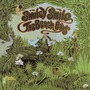 The Beach Boys album Smiley Smile