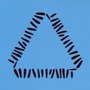 Warpaint album The Fool (Deluxe Edition)