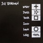 Dj Shadow album What Does Your Soul Look Like