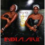 India.Arie album Testimony, Volume 2: Love & Politics