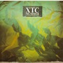 XTC album Mummer (Remastered)