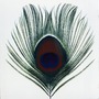 XTC album Apple Venus, Volume 1