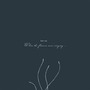 Kwoon album When The Flowers Were Singing...