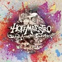 Hoffmaestro & Chraa album Skank-a-tronic Punkadelica