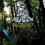 Dead Meadow album Old Growth