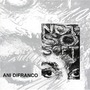 Ani DiFranco album Not So Soft