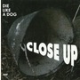 Die Like A Dog album Close Up