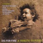 Dig For Fire: A Tribute To Pixies