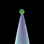 Peter Gabriel album New Blood (Special Edition)