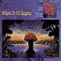 The Allman Brothers Band album Where It All Begins