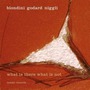 Biondini - Godard - Niggli album What Is There What Is Not