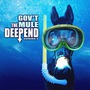 Gov't Mule album The Deep End, Volume 2
