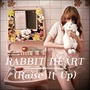 Florence + The Machine album Rabbit Heart (Raise It Up)