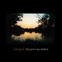 Integral album The Past Is My Shadow