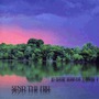 Neal Morse album Send The Fire(Worship Sessions, Volume 2)