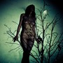 The Atlas Moth album An Ache For The Distance