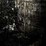 Blut Aus Nord album MoRT