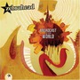 Zebrahead album Broadcast to the World (Japanese Edition)