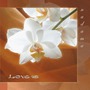 Nadama album Love Is