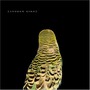Andrew Bird album Armchair Apocrypha