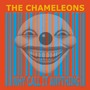 The Chameleons album Why Call It Anything?