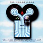 The Chameleons album What Does Anything Mean? Basically (Collectors Edition)