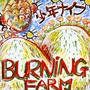 Shonen Knife album Burning Farm (Re-Issue)