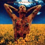 Biagio Antonacci album Mi Fai Stare Bene