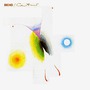 Caetano Veloso album Bicho