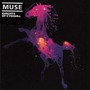 Knights Of Cydonia