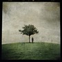 Ana Kefr album The Burial Tree (II)