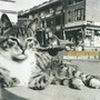 Billy Bragg & Wilco album Mermaid Avenue, Volume II