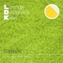 capsule album L.D.K. Lounge Designers Killer