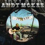 Andy McKee album Joyland