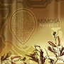 Mimosa album Hostilis