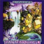 Ozric Tentacles album Waterfall Cities
