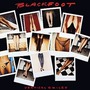 Blackfoot album Vertical Smiles