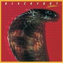 Blackfoot album Strikes