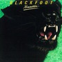 Blackfoot album Tomcattin'