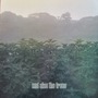 And Also The Trees album And Also The Trees