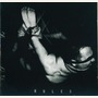Alligator album Rules